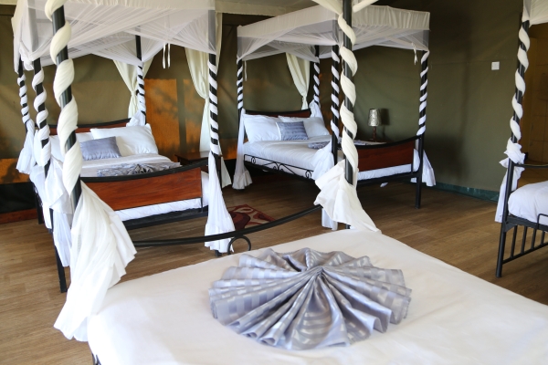 Hotel Ngorongoro Wild Camps